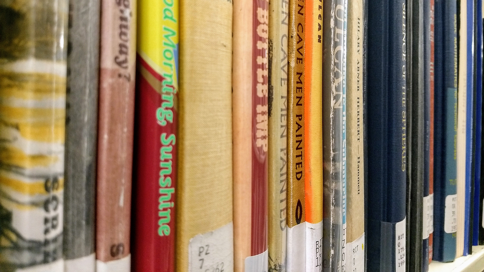 spines of books, RIT stacks