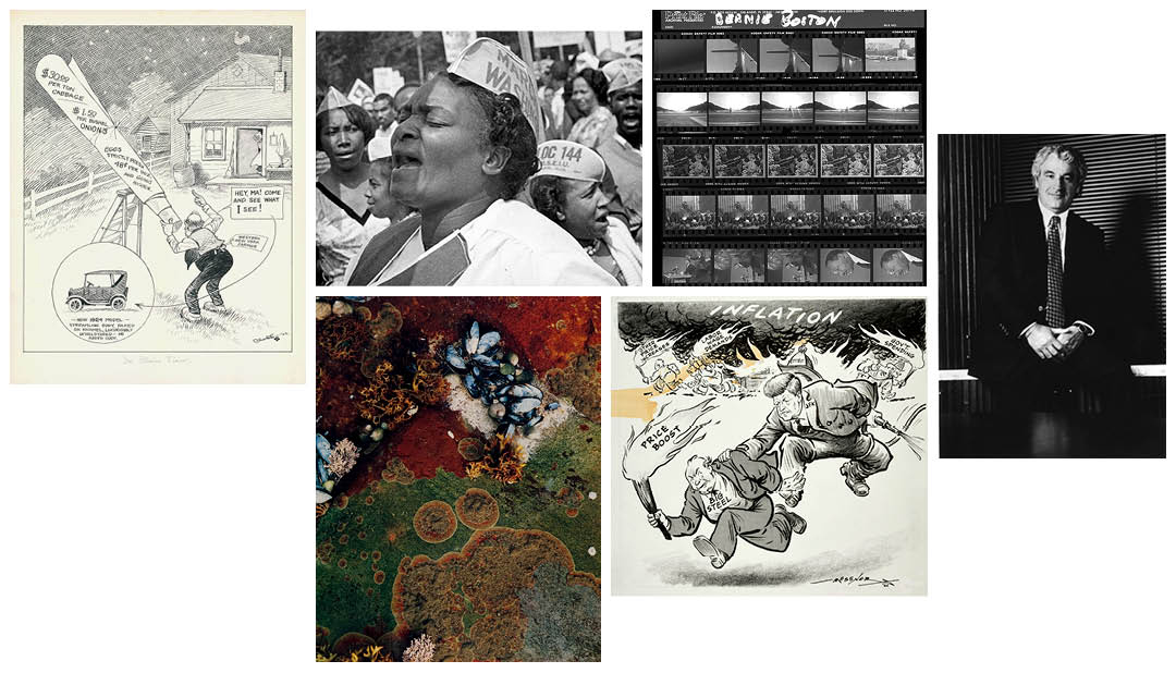 collage of images from special collections