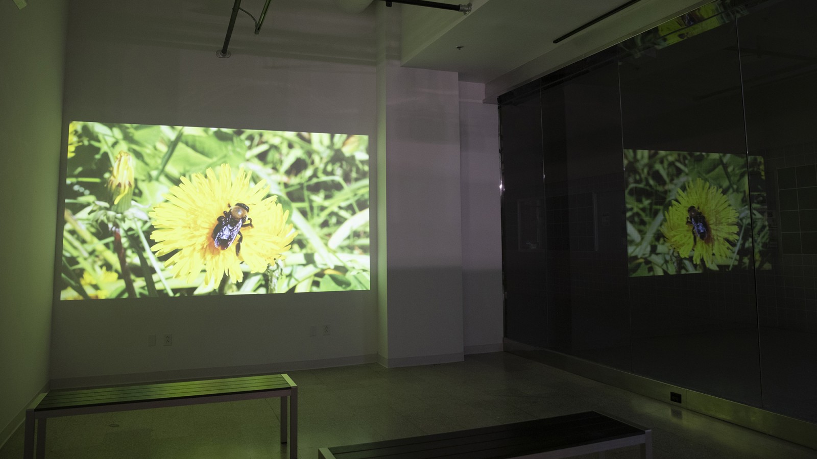 A video screens on a wall.