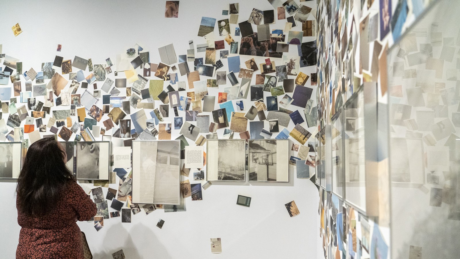 A person looks at small images hanging on a gallery wall.