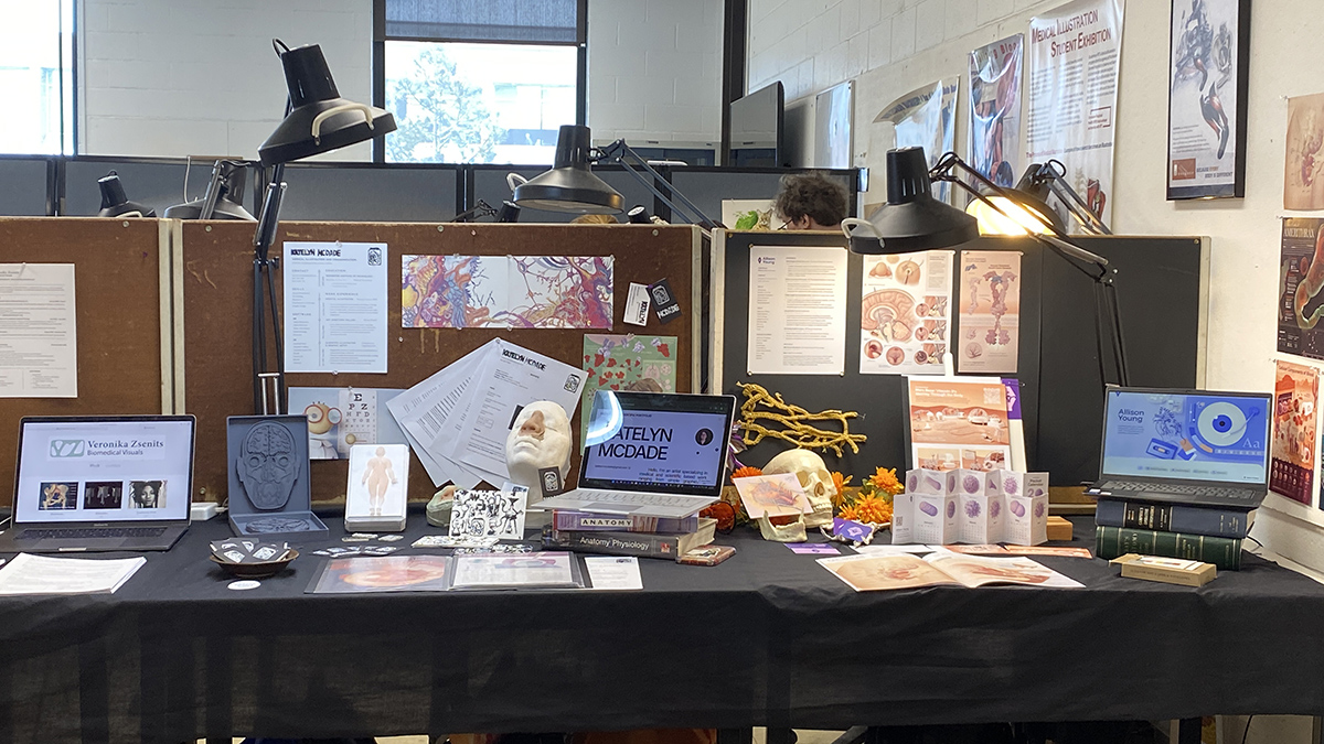 A display of medical illustration work.