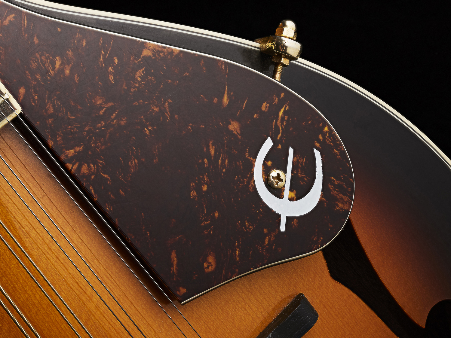 A detailed photo of a guitar.