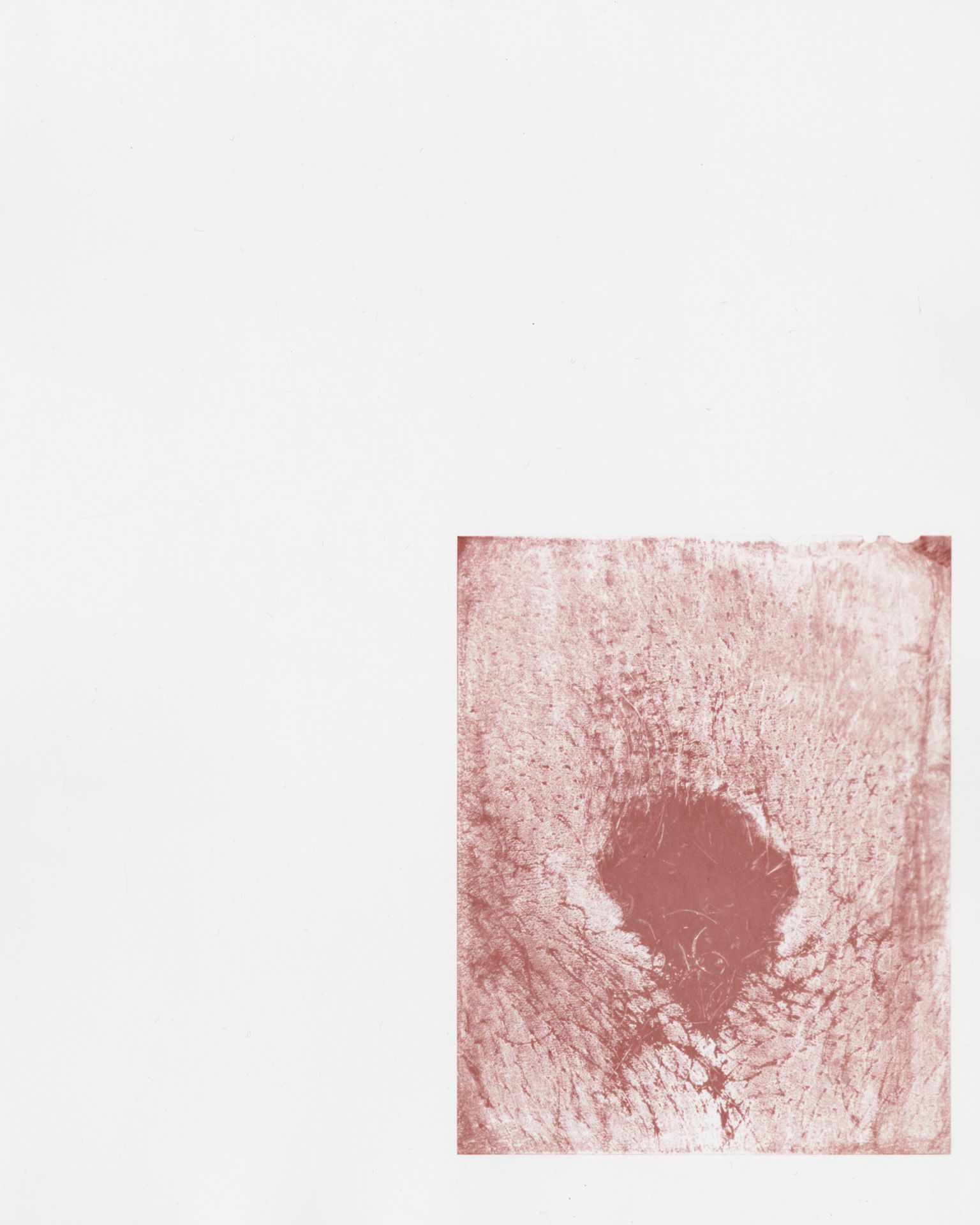 A photographic print made from body sweat and oils.