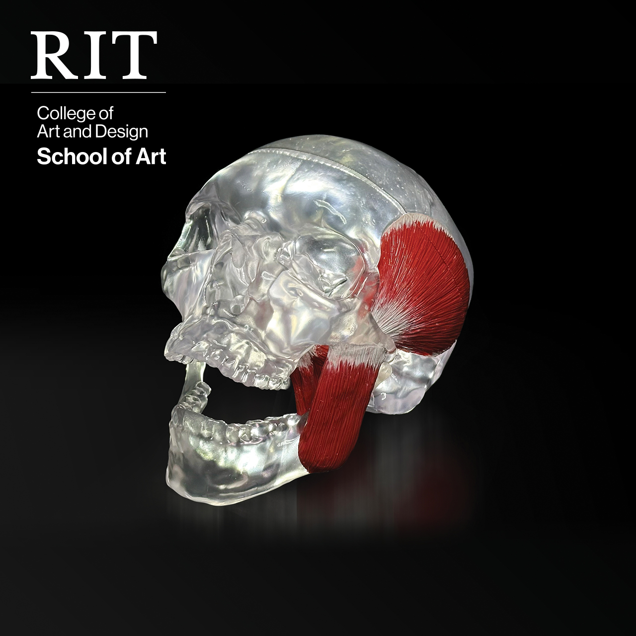 A brochure cover with an illustration of a skull's head.