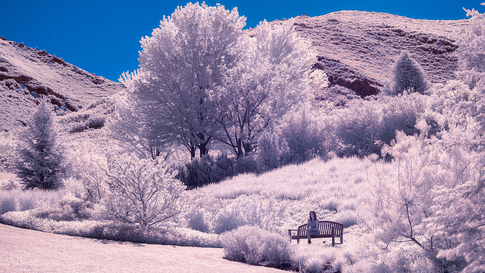 An infrared photo of a landscape.