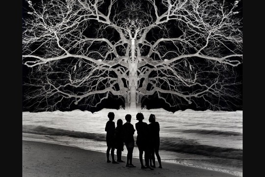 combination of black-and-white photographs shows a group of people on a beach looking at a tree emerging from a body of water.