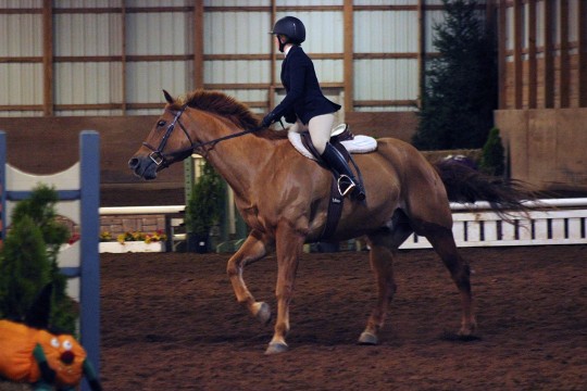 person riding a horse in a competition.