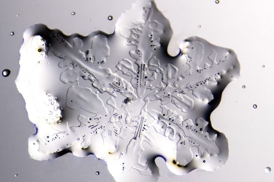 A oddly shaped snowflake captured through a microscope. Unlike what most picture, this snowflake is more like a misshapen blob. There are hints of the typical intricate patters of a snowflake, but it looks oddly like a big drop of water with weird patterns.