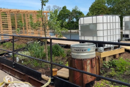 a view of a garden on the rooftop of a building
