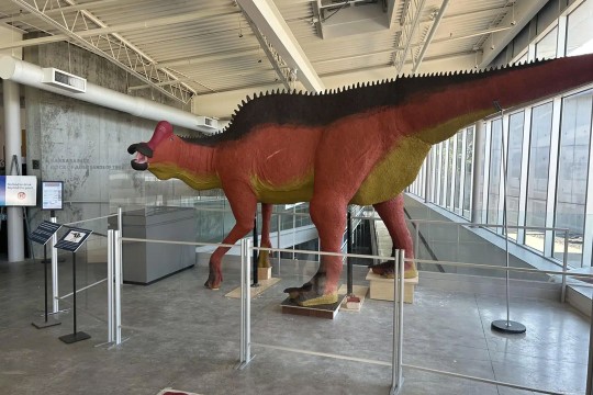 a model of a hadrosaur is on display in a well lit, window filled atrium in a museum
