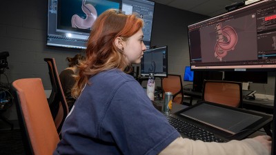 student works at a compute station with a model of a stomach.
