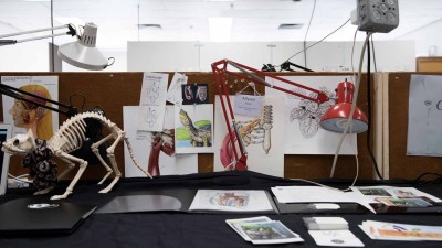 Desk with medical illustrations spread out on it