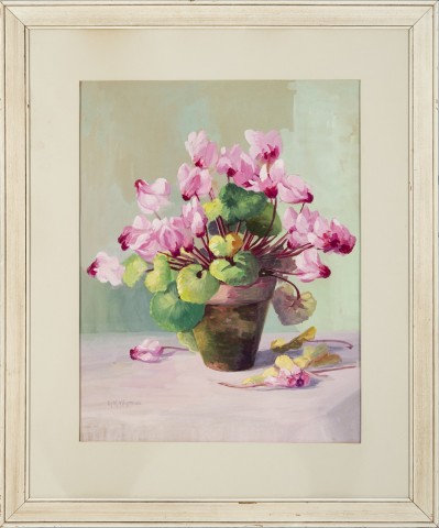 Pink and white cyclamens in a terracotta pot 