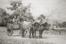 Young children in a wooden cart being pulled by two oxen throughout the countryside