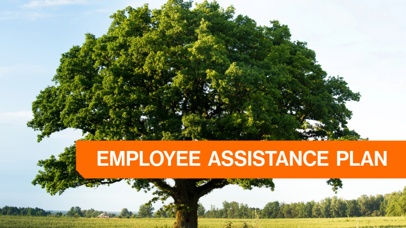 Background image of a tree with an orange banner and white text saying Employee Assistance Plan