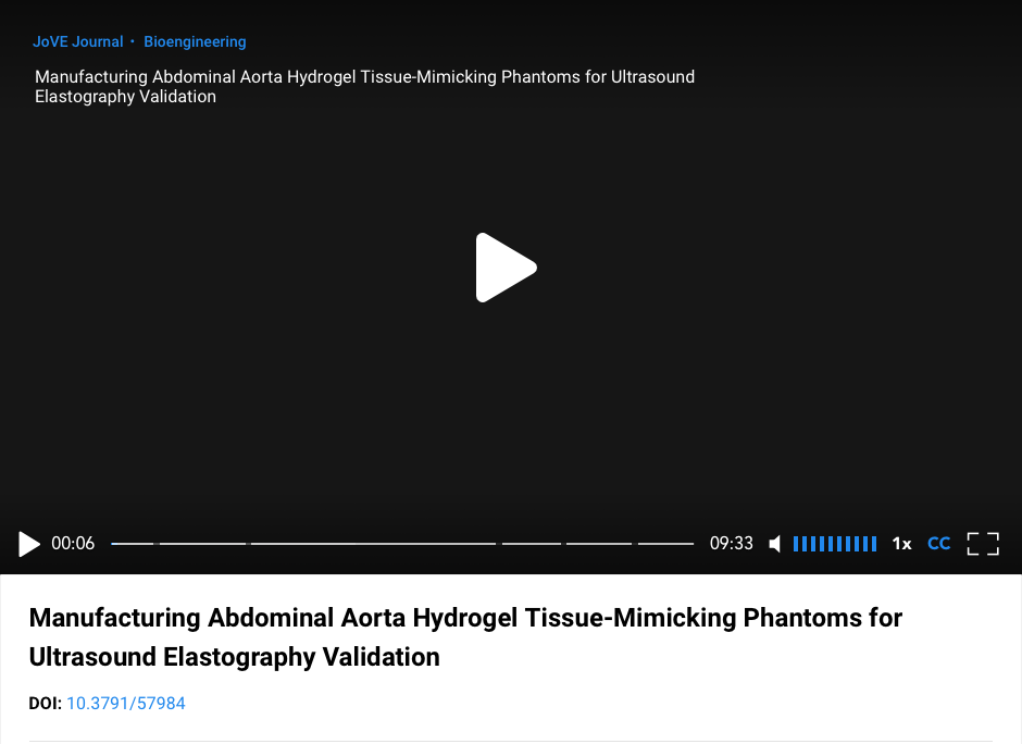 Presentation slide: Manufacturing Abdominal Aorta Hydrogel Tissue Mimicking