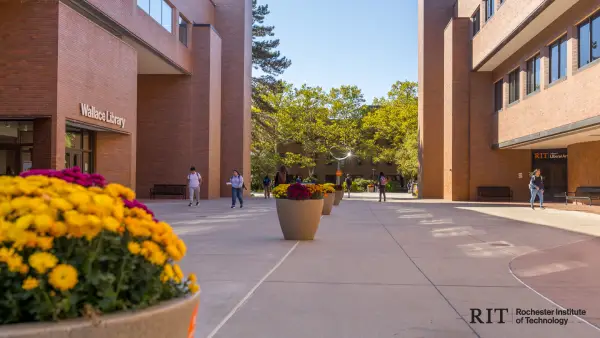 Campus between 2 buildings with flower pots