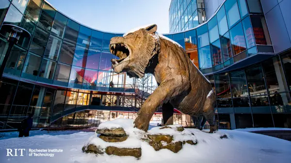 RIT TIger in the snow