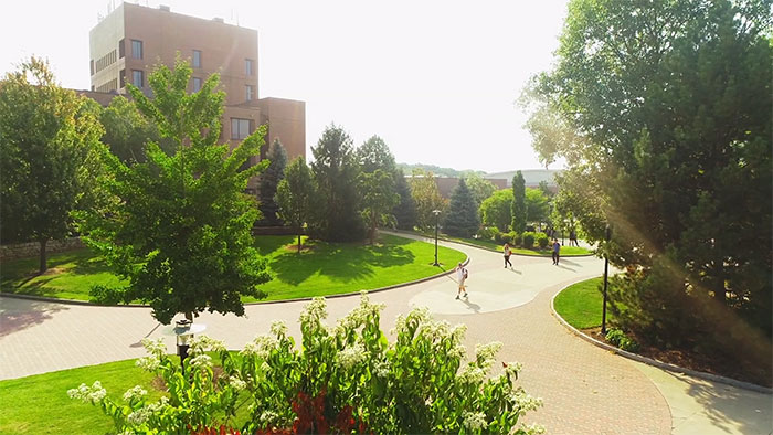 Students walking on campus on a sunny day