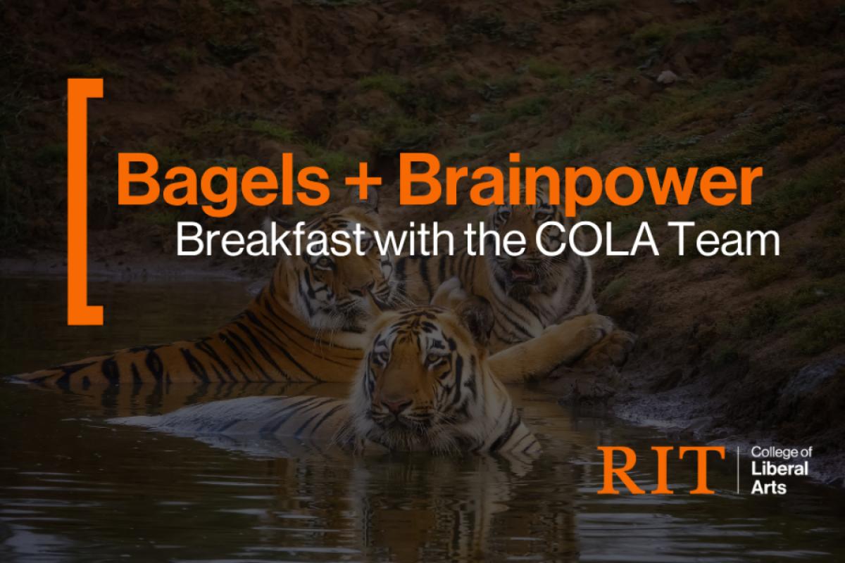 Promotional graphic for “Bagels + Brainpower: Breakfast with the COLA Team,” featuring three tigers resting in water and the RIT College of Liberal Arts logo.