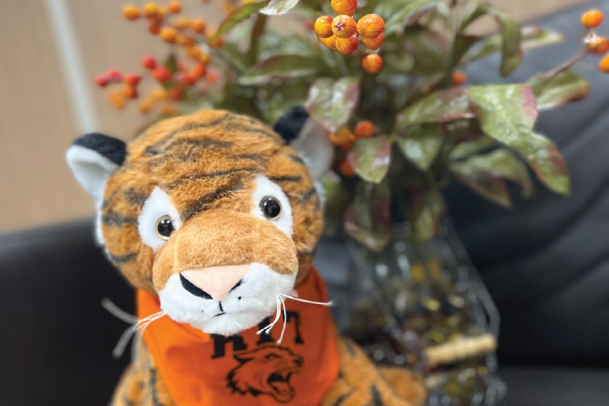 Stuffed tiger mascot wearing an orange RIT bandana sits on a black chair with autumn-colored flowers in the background.