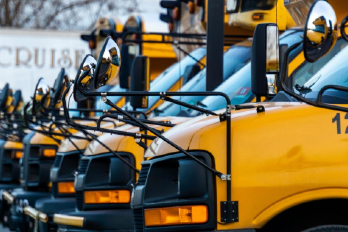 Multiple yellow school buses are parked in a row, with mirrors and front ends visible.
