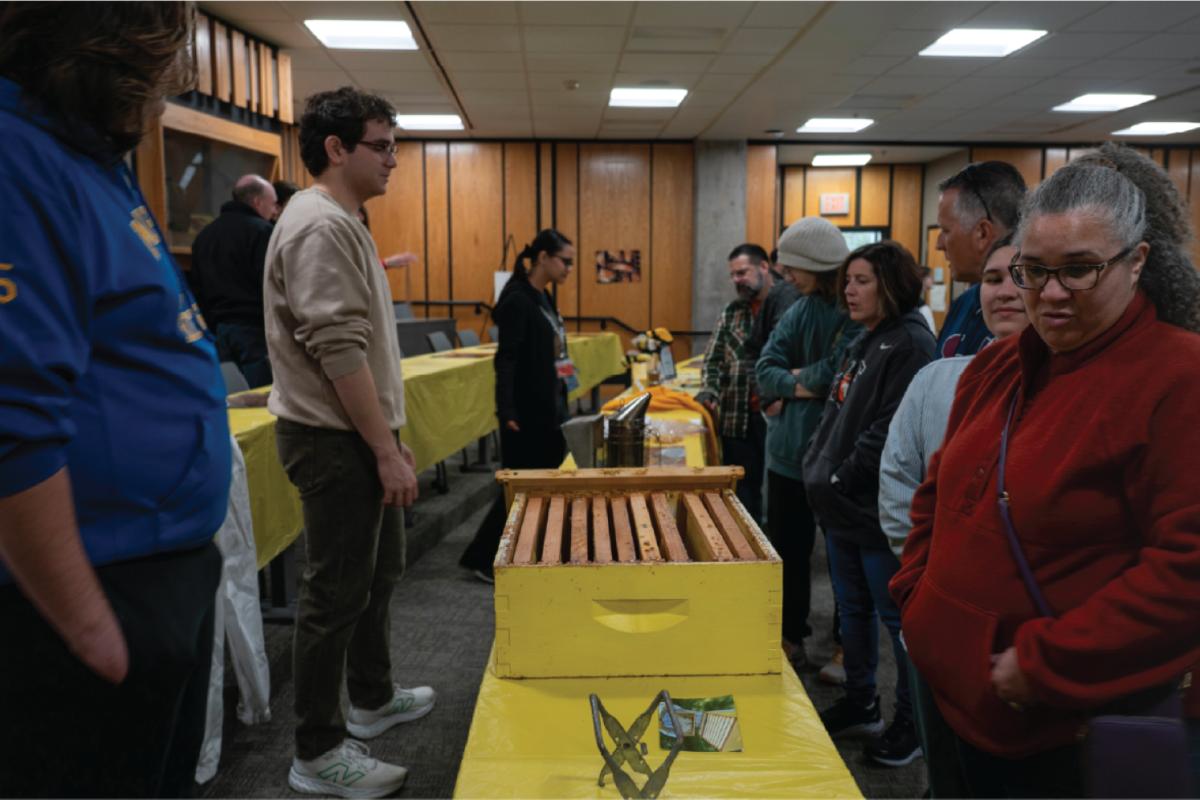bee keeping, people looking over the tables