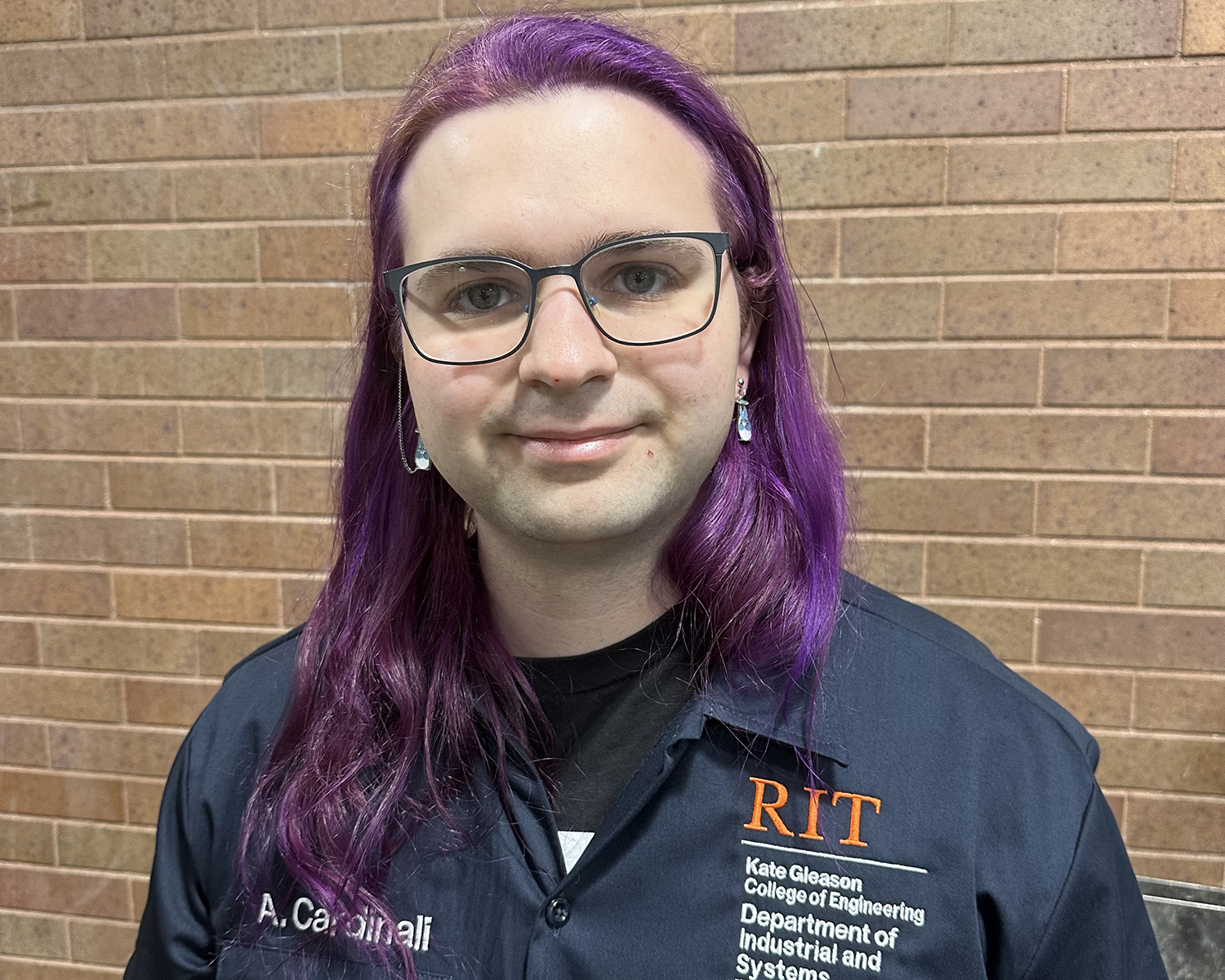 head shot of A. Cardinali