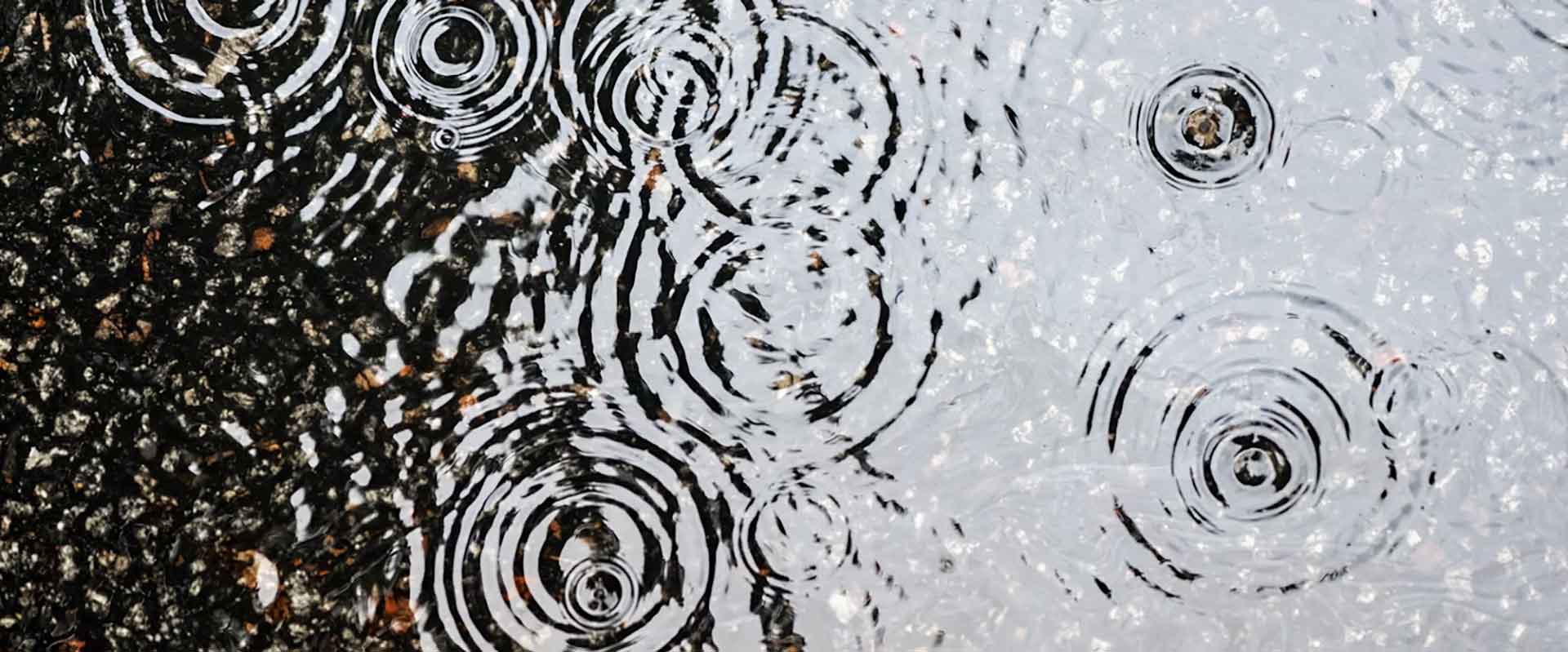 overhead view of raindrops hitting a puddle.