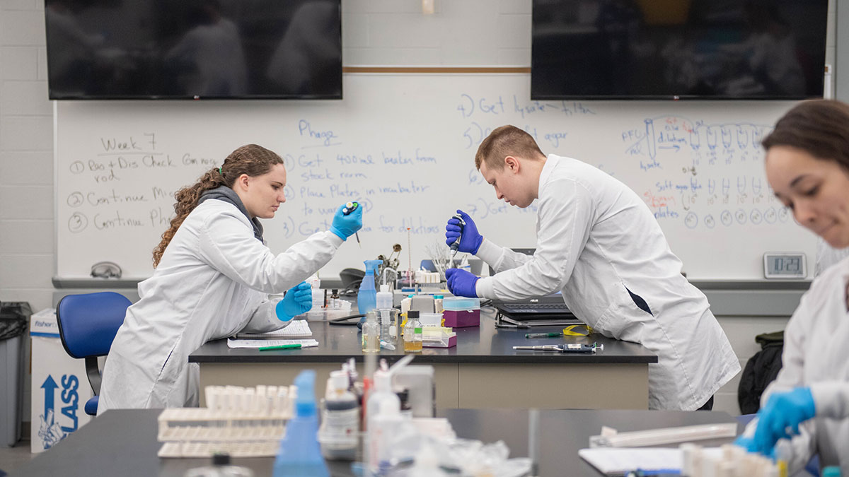 two students wearing lab coats and working with pipettes in a lab setting.