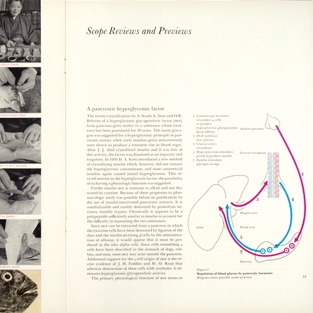 Spread, pp. 10-11. Scope magazine, vol. IV, no. 2 (Summer, 1954). Art director Will Burtin.