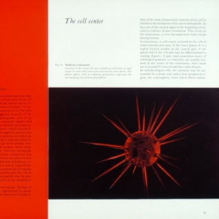 Spread, pp. 18-19. The Cell monograph, designed by Burtin, 1960.