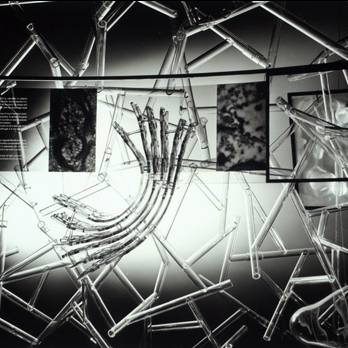 Photograph. Cell (24 ft.) exhibit interior detail of “The Golgi Apparatus,” 1958. Photograph by Ezra Stoller © Esto.