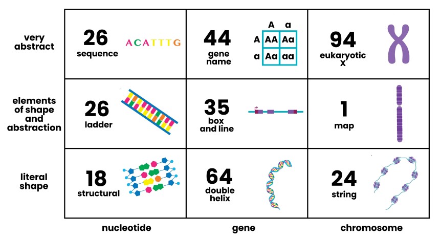 Number of student sketches aligned to each location on the DNA Landscape. Sketches that contained elements from multiple locations on the DNA  Landscape were coded in each location, so the sum of sketches here exceeds the 277 total sketches generated in the interviews. Data is from Uminsky et al (2025) https://journals.asm.org/doi/pdf/10.1128/jmbe.00070-25