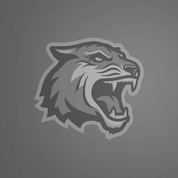 Default image of roaring R I T tiger logo.