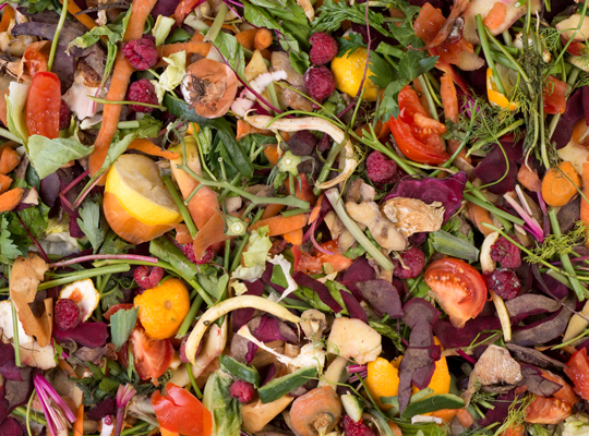 food scraps