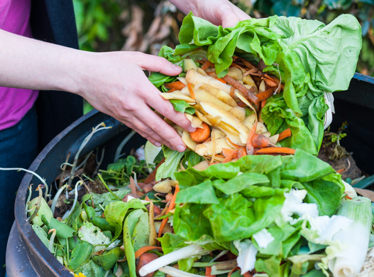hands putting food waste in large bin