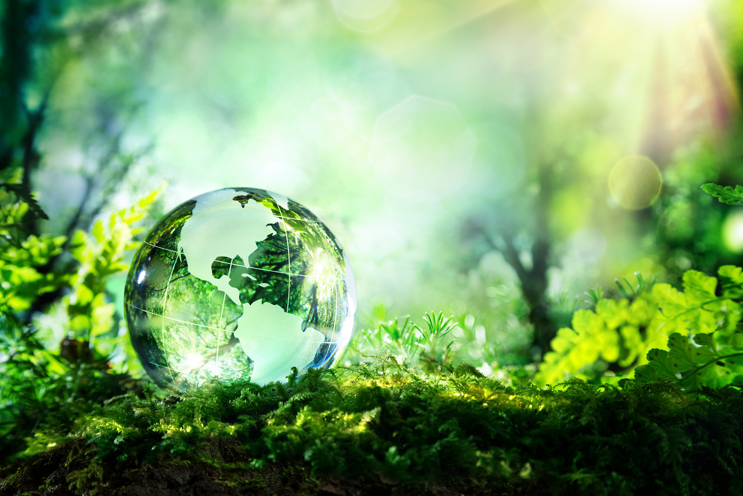 crystal globe on green forest floor with sun rays in upper corner