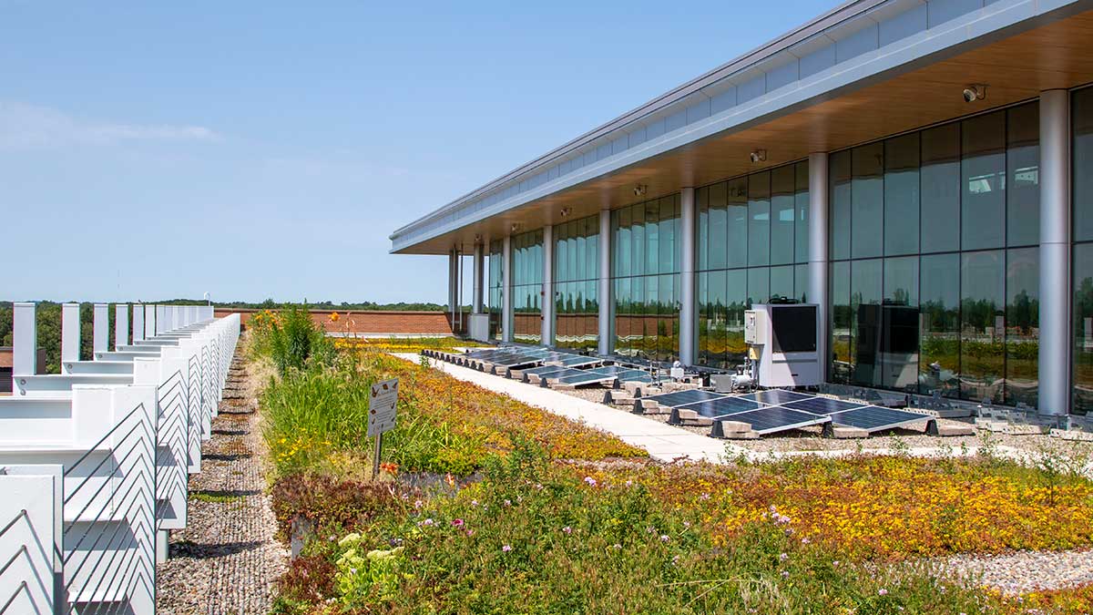 A green rooftop with solar panels and vegetation as part of a sustainable building initiative.