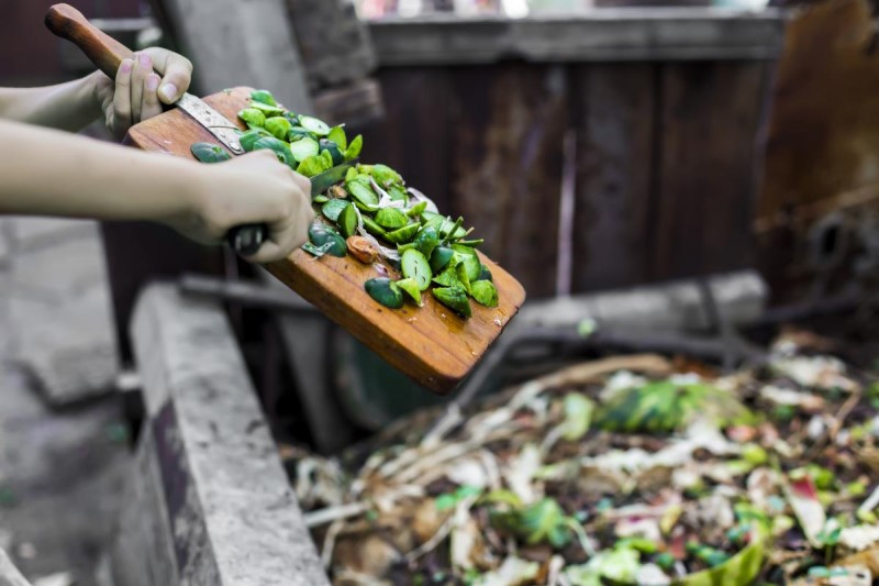 Food waste being composted