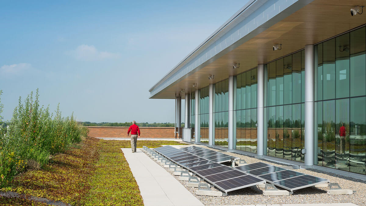 A person walking between solar panels and plants on the green/solar roof on top of the GIS building.
