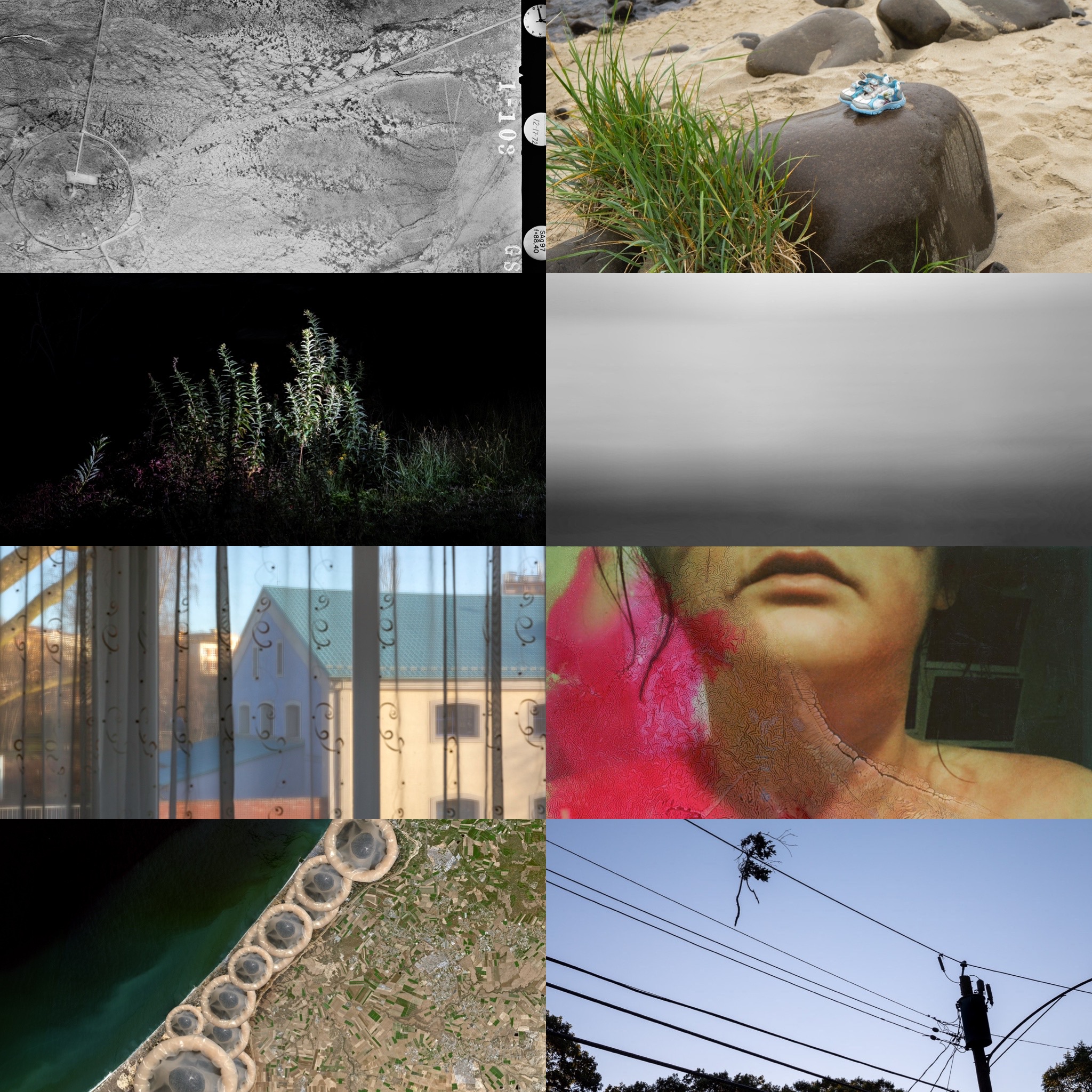 A grid of 8 images