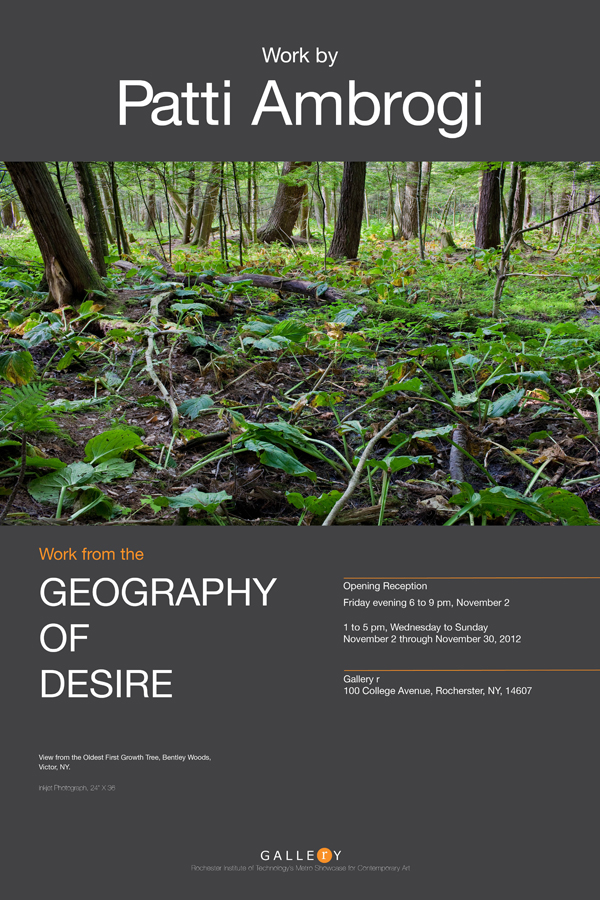 Poster with exhibition info featuring photo of a forest floor