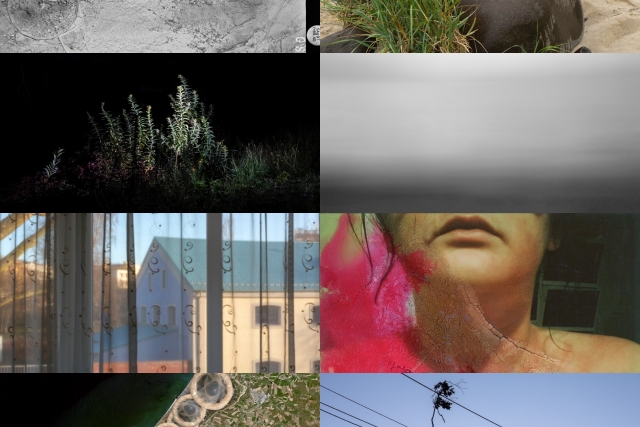 A grid of 8 images