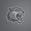 Photo of RIT tiger