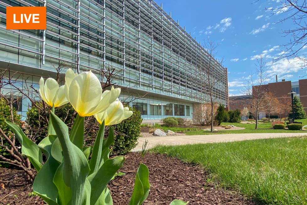 Exterior view of Sustainability Institute Hall