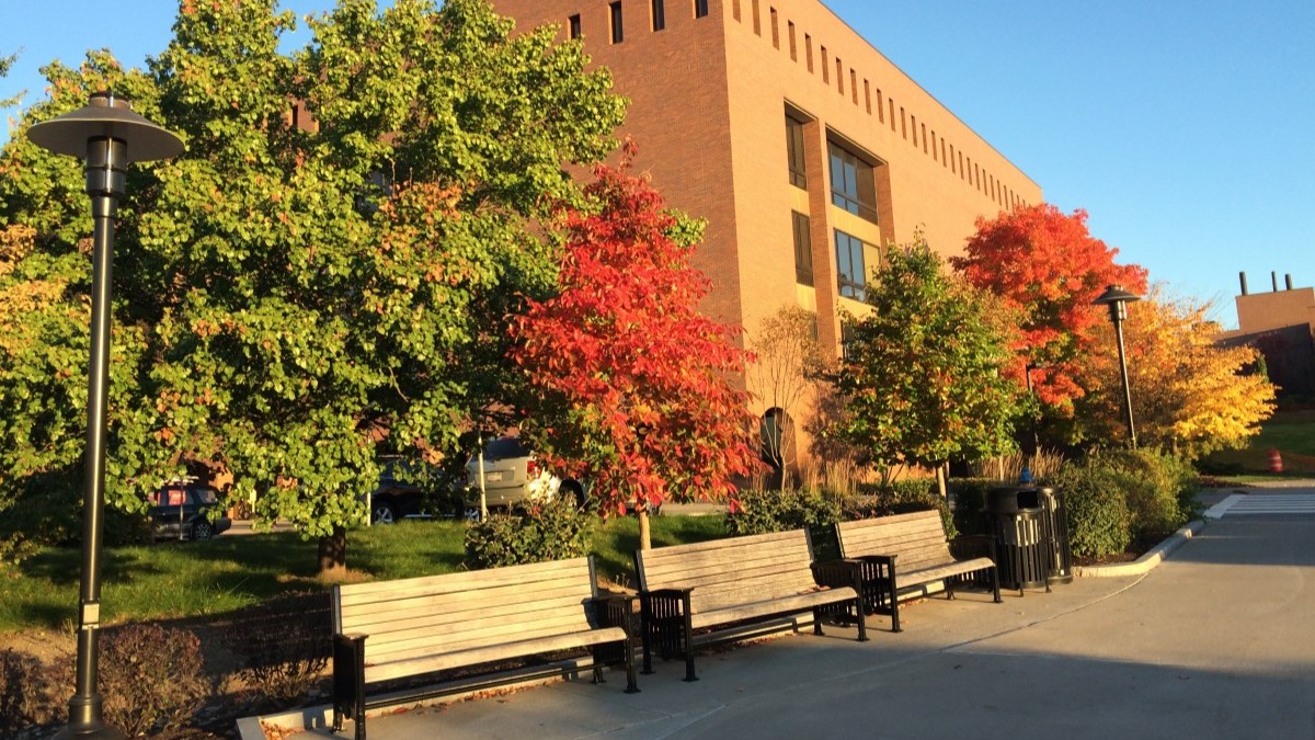 Brick building with vibrant fall trees, benches, and a paved walkway
