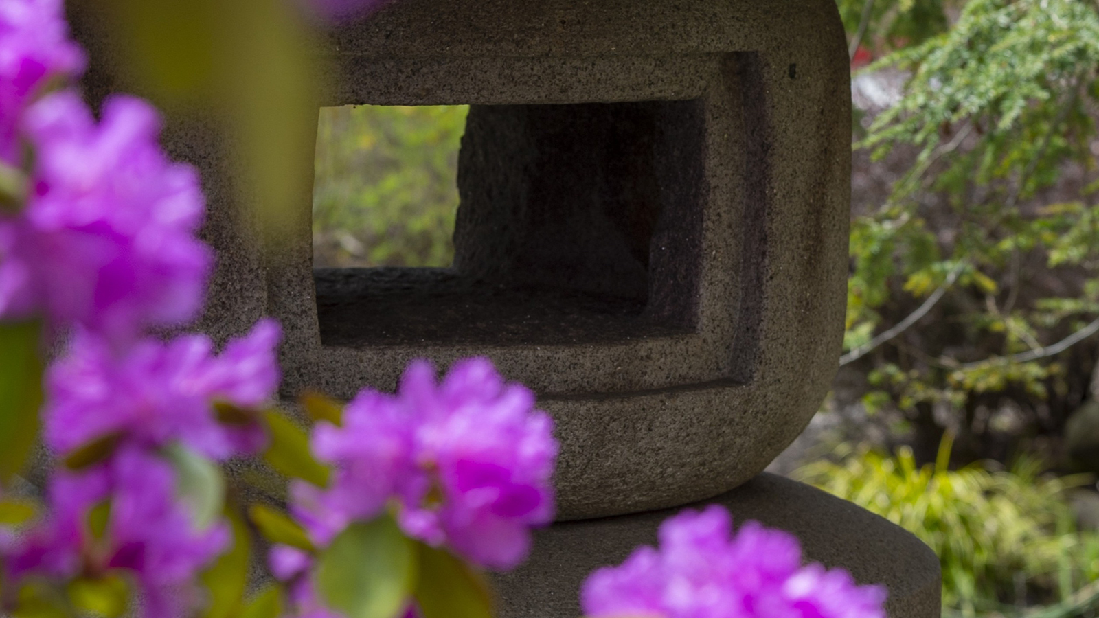 A close-up of a stone lantern with a square hollow center, framed by blurred pink flowers in the foreground.