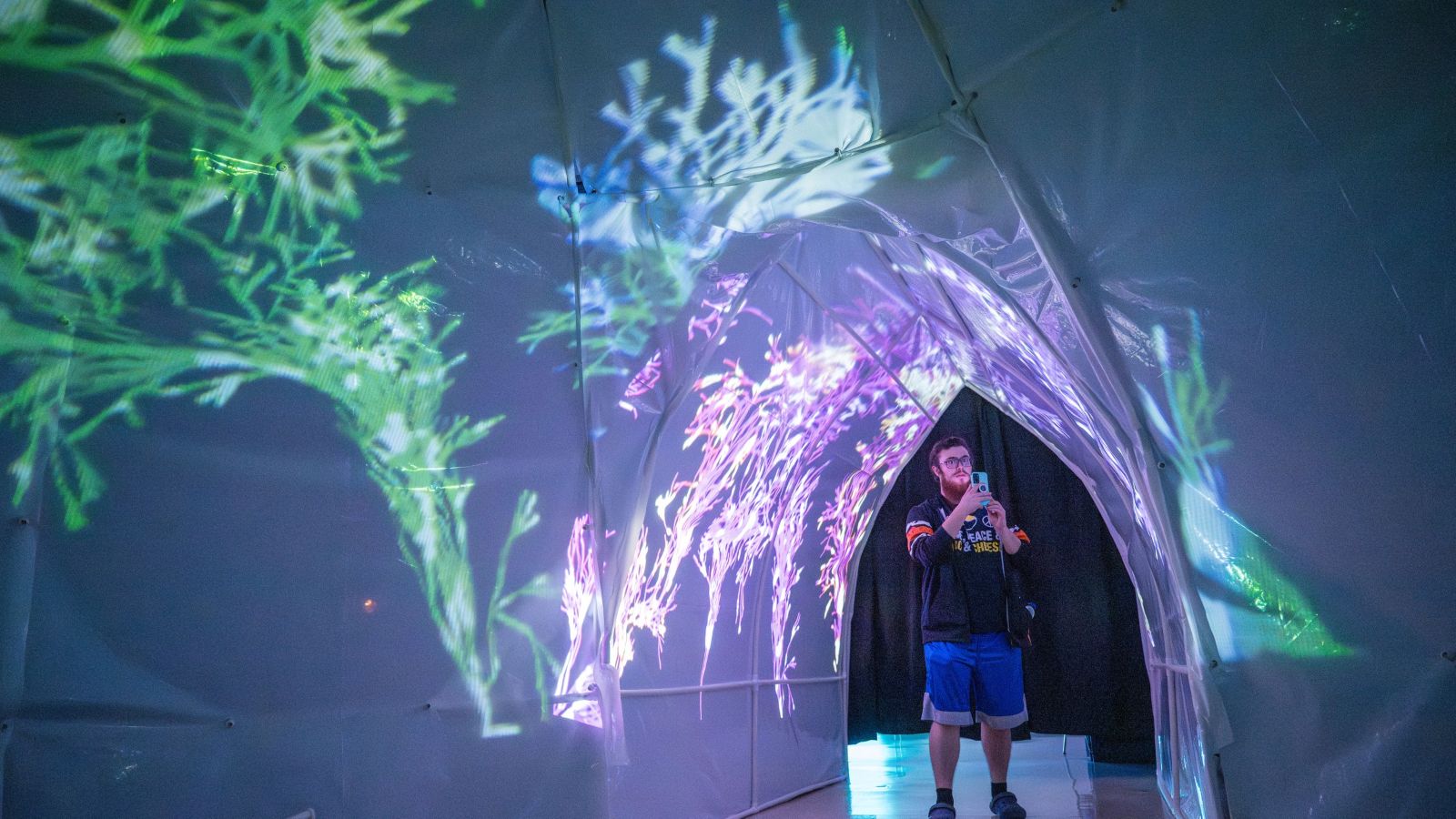 A man walking through an interactive light exhibit