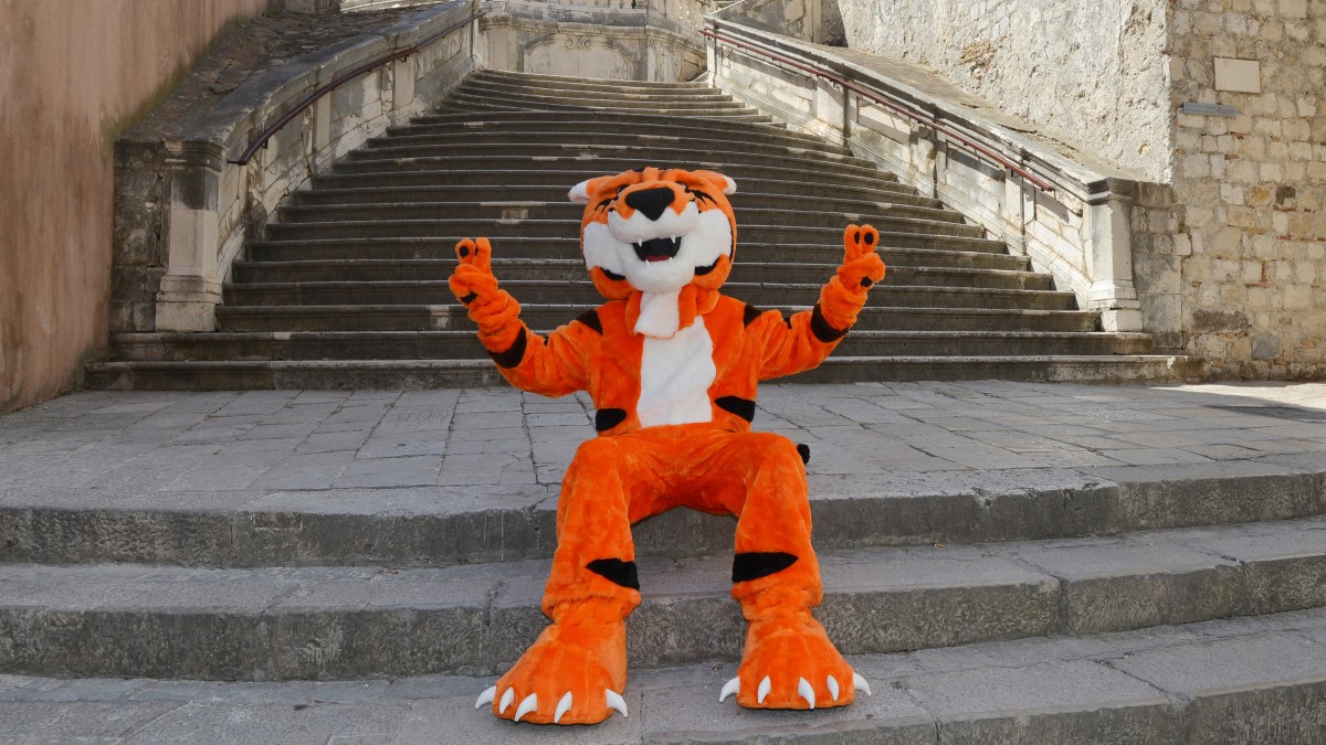 Ritchie the Tiger at the stairs in Dubrovnik